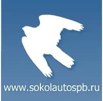 Сокол фото 1