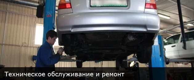 МВМ фото 4
