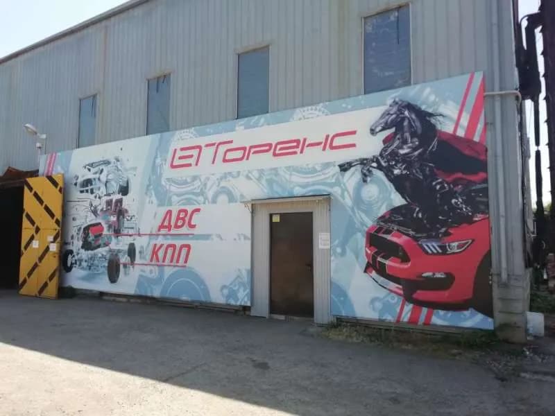 Торенс фото 1