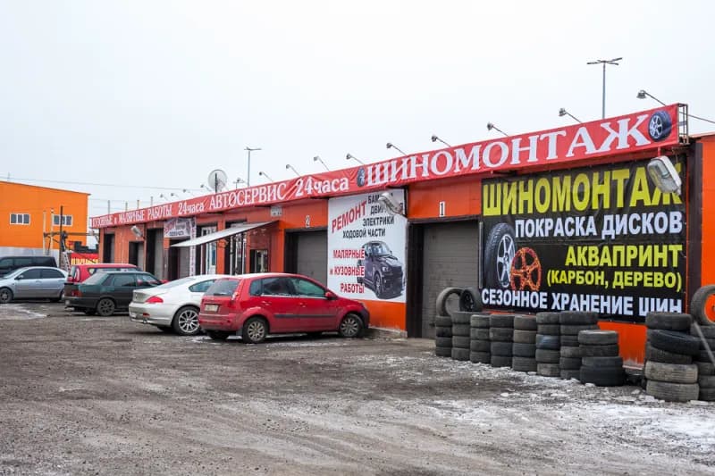 Озерки Просвещения фото 1