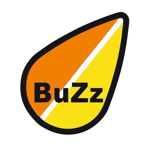 BuZz Автоэлектроника фото 2